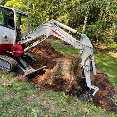 mini excavator pulling stumps|excavator stump removal time.